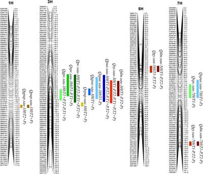 Novel QTL Conferring Phosphorus Acquisition and Utilization Efficiencies in Barley